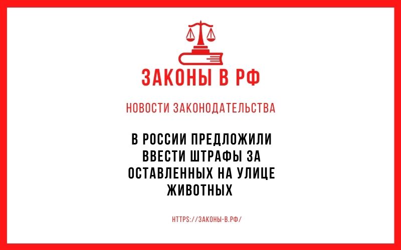 В России предложили ввести штрафы за оставленных на улице животных