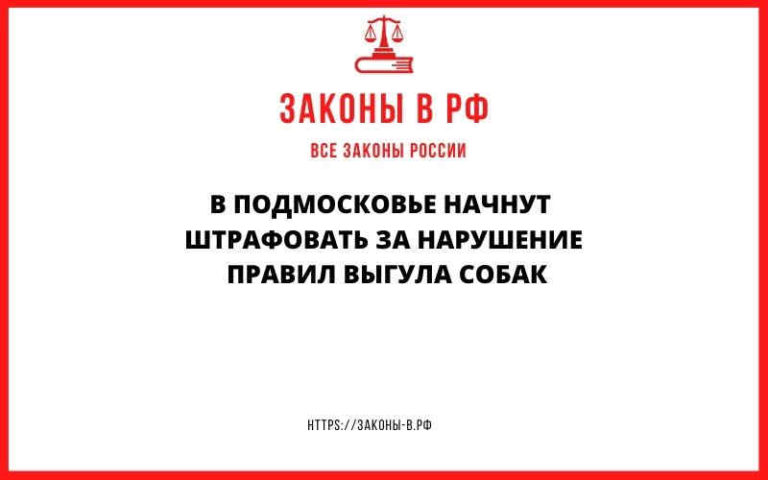 В Подмосковье начнут штрафовать за нарушение правил выгула собак