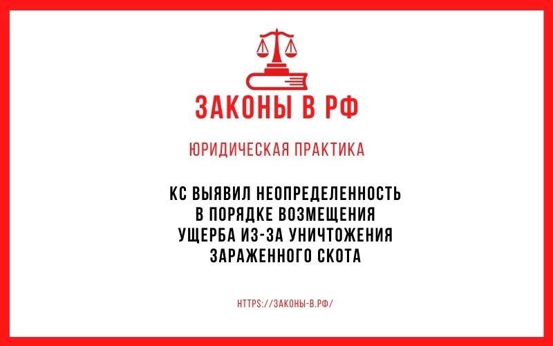 КС выявил неопределенность в порядке возмещения ущерба из-за уничтожения зараженного скота