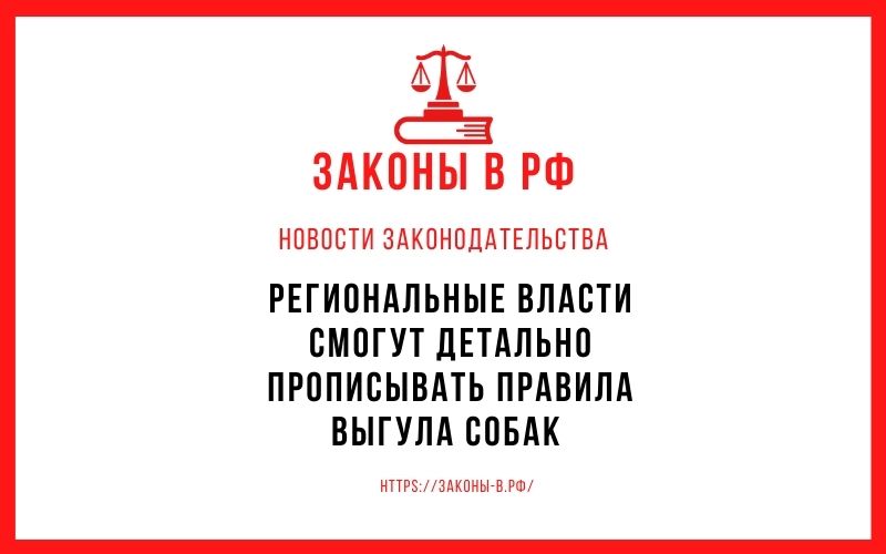 Региональные власти смогут детально прописывать правила выгула собак